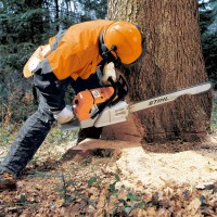 /album/galerie-de-photos-page-daccueil1/tronconneuse-stihl-ms-880-1-jpg1/